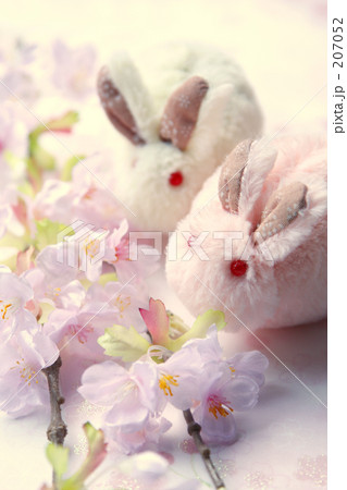 ウサ子ちゃんと桜　Ⅱ 207052