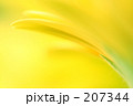 ガーベラ：０５ 207344