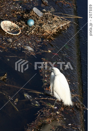 ゴミを捨てたのだぁ～れ 207889