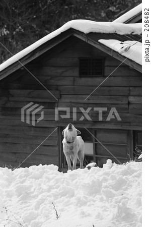 奥多摩・塩山市 御屋敷 昭和47年 奥多摩・塩山市 御屋敷 昭和47年 208482