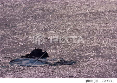 Shining Ocean 209331