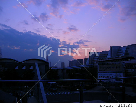 国際展示場の夕方 国際展示場の夕方 211239