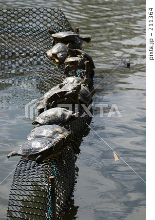 211364