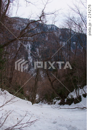 白神山地の冬 214276