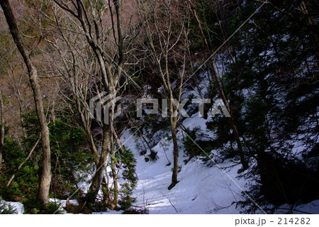 早春の白神山地 早春の白神山地 214282