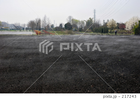 見沼田圃・春　南部領辻にて 217243