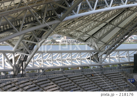 ビッグスワンと鳥屋野潟 218176