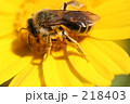 218403