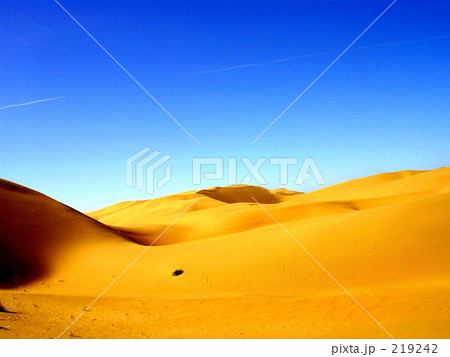 内モンゴル恩格貝砂漠 内モンゴル恩格貝砂漠 219242