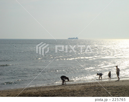 日本海 225765