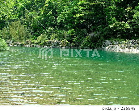 新緑の高津川 226948