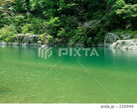 新緑の高津川 226949