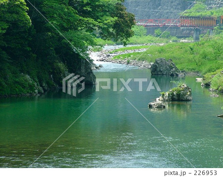 新緑の高津川 226953