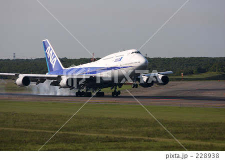 ANA 228938