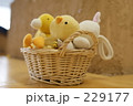 バスケットのぬいぐるみ 229177