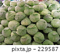 229587