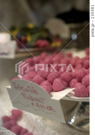 ショウウインドウ 230381