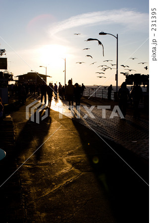 サンタモニカ・ピア(桟橋) サンタモニカ・ピア(桟橋) 231395