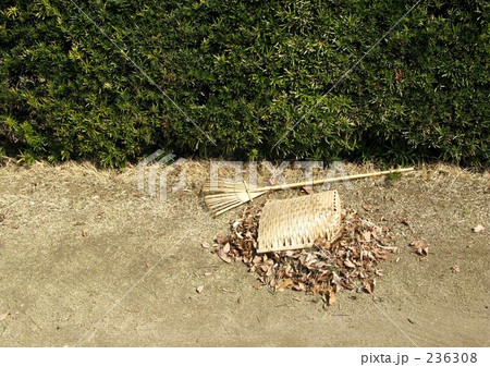 落ち葉掃除 236308