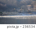 236534