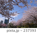 237393