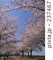 237467