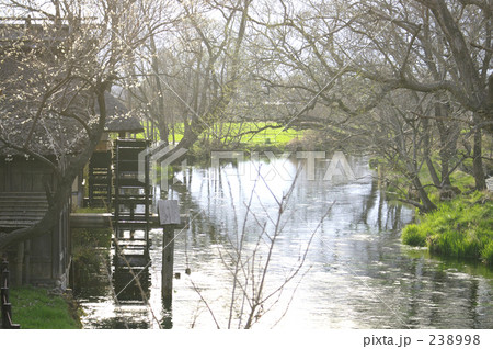 小春日和の水車小屋 238998