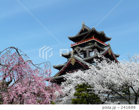 城 城 241699