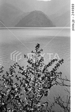 奥多摩・奥多摩湖　昭和４７年 244989