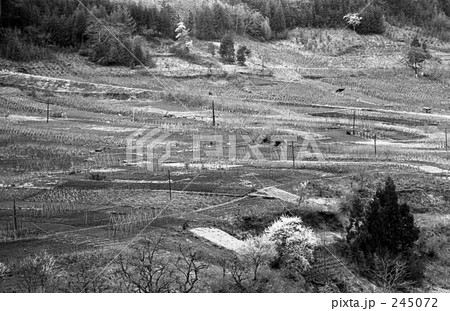 奥多摩・丹波山村 昭和47年 奥多摩・丹波山村 昭和47年 245072