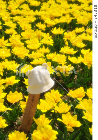 僕が見張ってあげる 245318