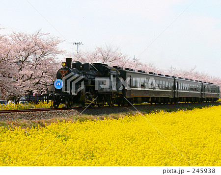 SLに乗って SLに乗って 245938