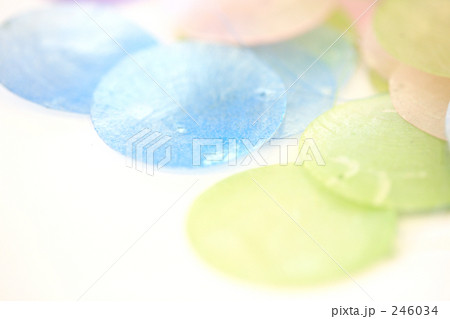 貝がらのオーナメント 246034