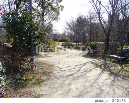 公園の風景 246176