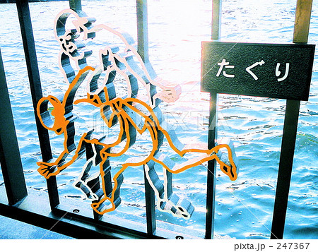 両国の隅田川 247367