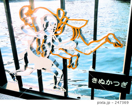 両国の隅田川 両国の隅田川 247369