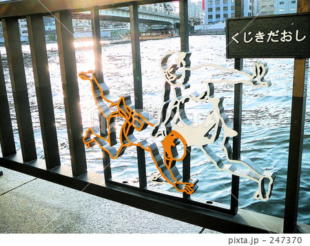 両国の隅田川 247370