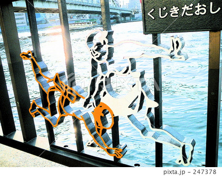 両国の隅田川 247378