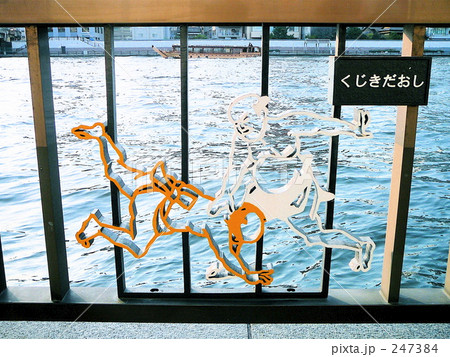 両国の隅田川 両国の隅田川 247384