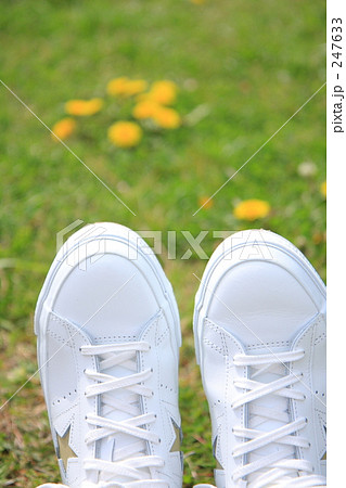 真っ白なスニーカーとたんぽぽ 247633