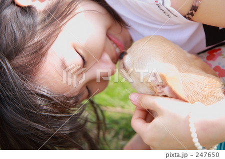 少女とチワワ 247650