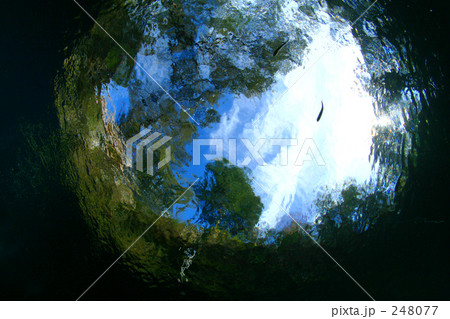 水中から見上げた景色 248077