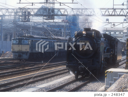 伝説の出会い 248347