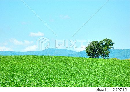 風景2 風景2 249716