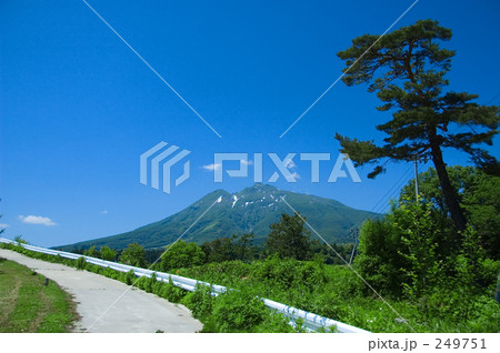 松と岩木山 松と岩木山 249751