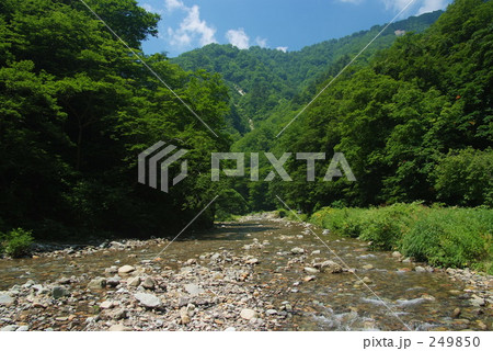 白神山地の川 249850