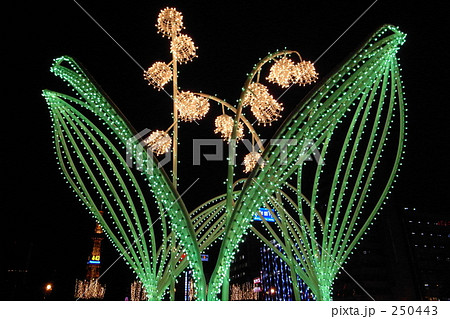 札幌ホワイトイルミネーション 250443