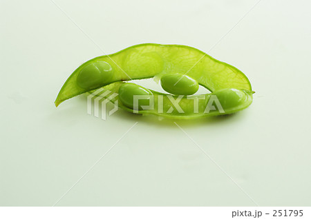 枝豆 251795