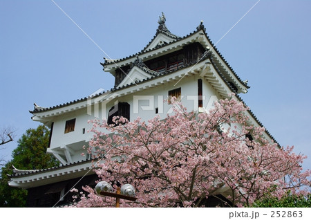 岩国城と桜 252863