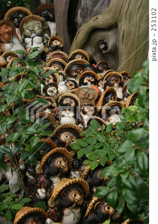 信楽焼きのたぬき 信楽焼きのたぬき 253102